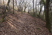 p1030699.jpg