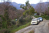 p1030700.jpg