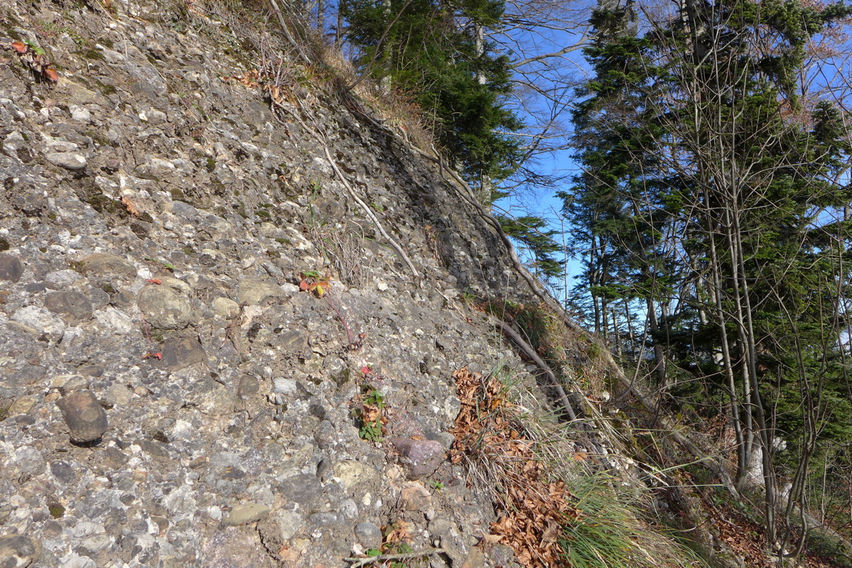 p1030323.jpg