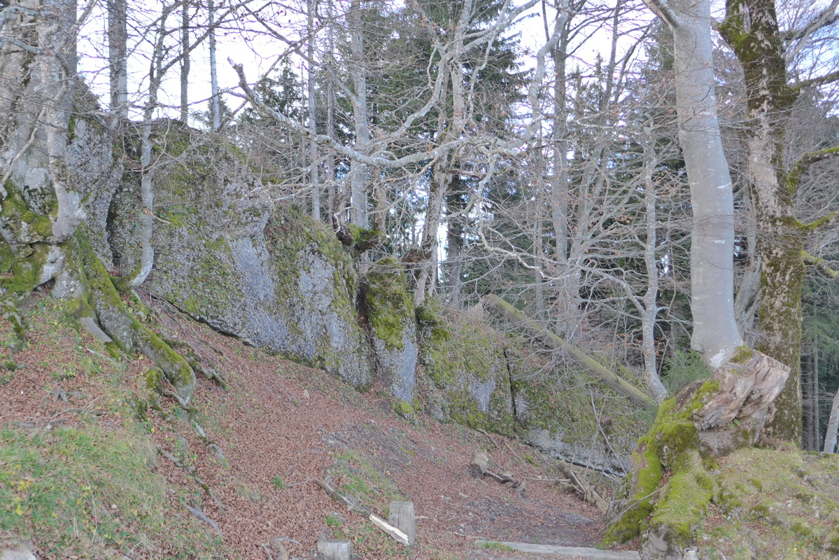 p1030330.jpg
