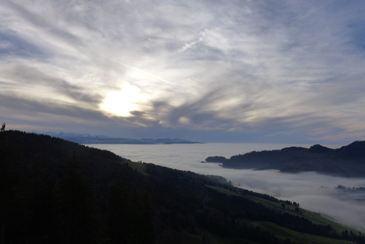 p1030333.jpg