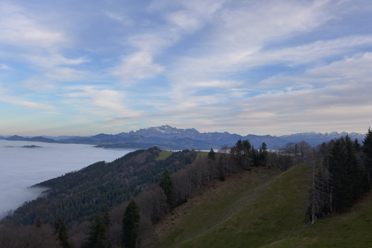 p1030335.jpg