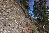 p1030323.jpg