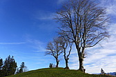 p1030324.jpg