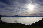 p1030325.jpg