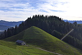 p1030326.jpg