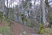 p1030330.jpg