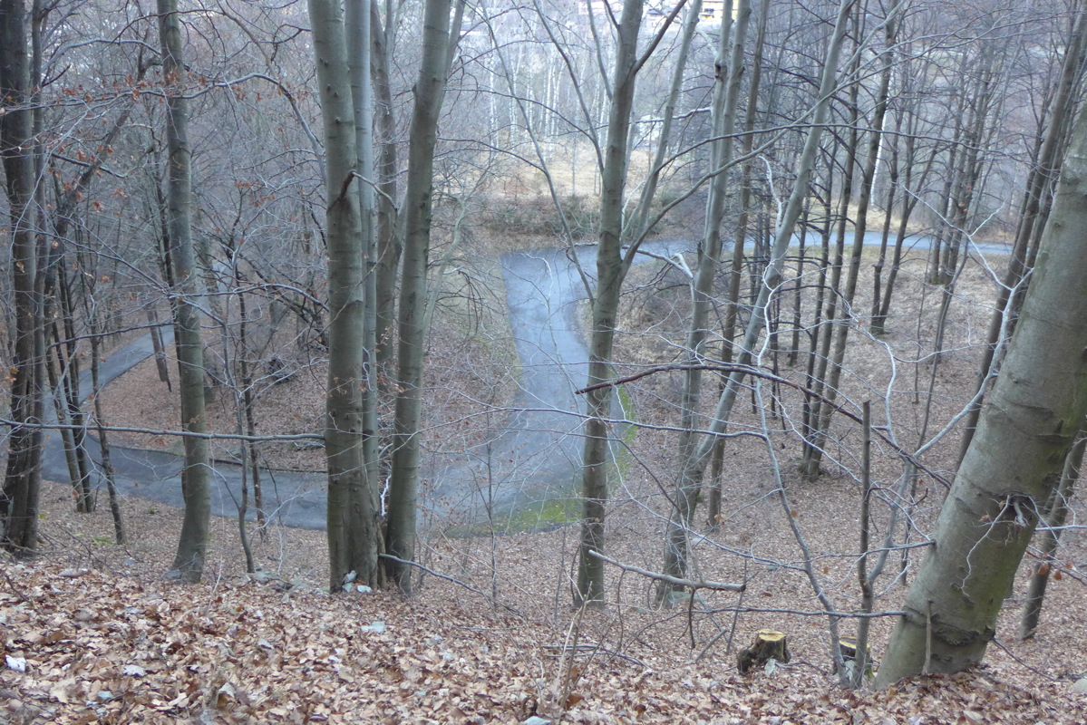 p1030413.jpg