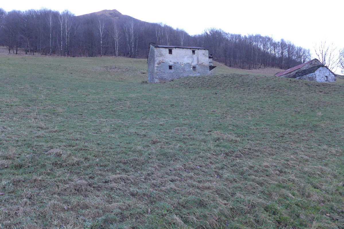 p1030414.jpg