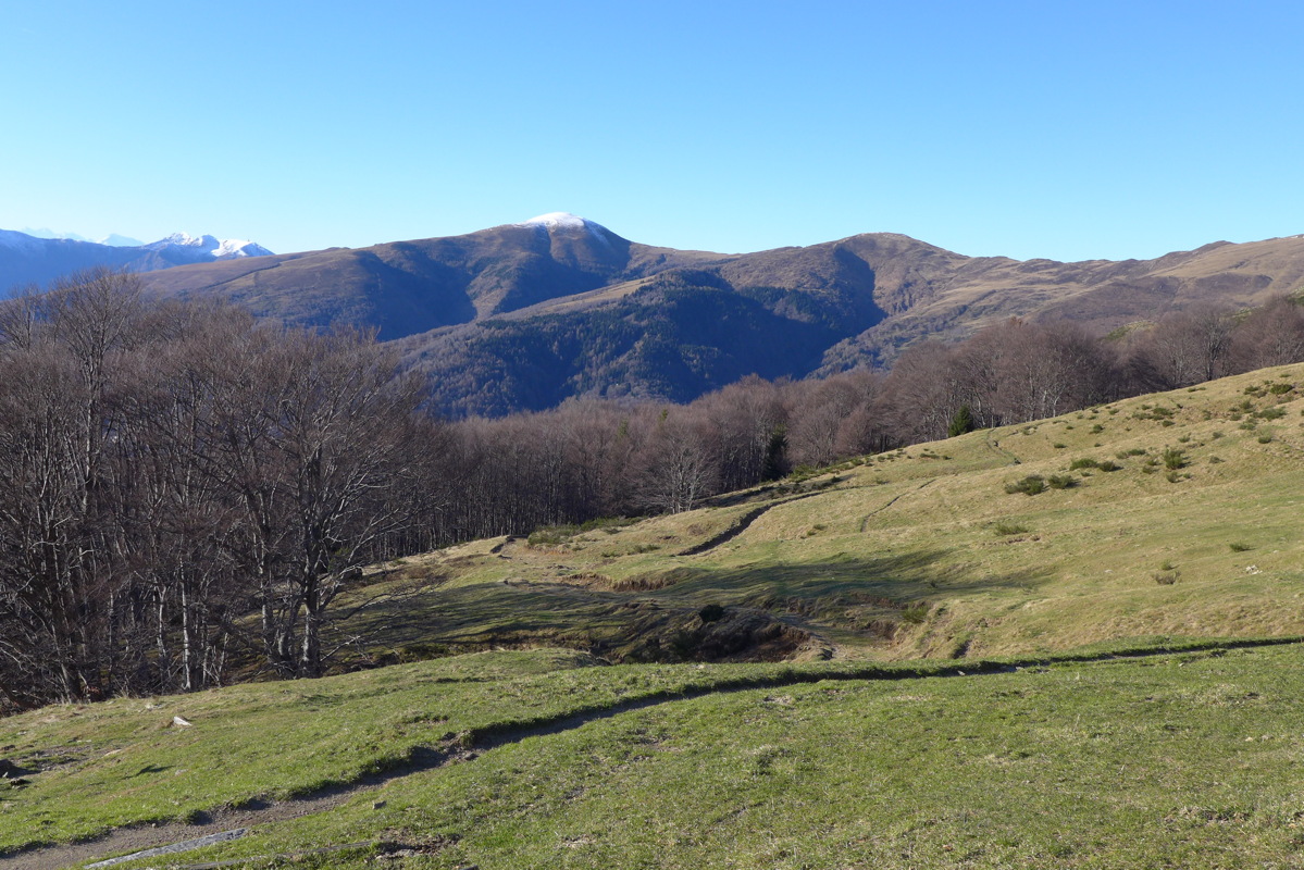 p1030429.jpg