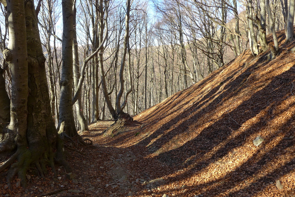 p1030430.jpg