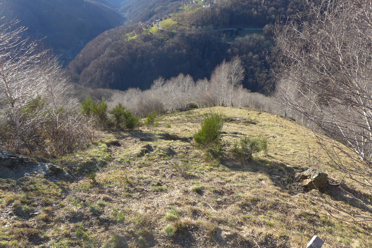 p1030434.jpg
