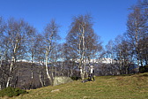 p1030417.jpg