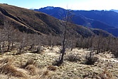 p1030421.jpg