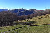 p1030429.jpg