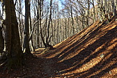 p1030430.jpg