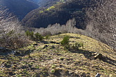 p1030434.jpg