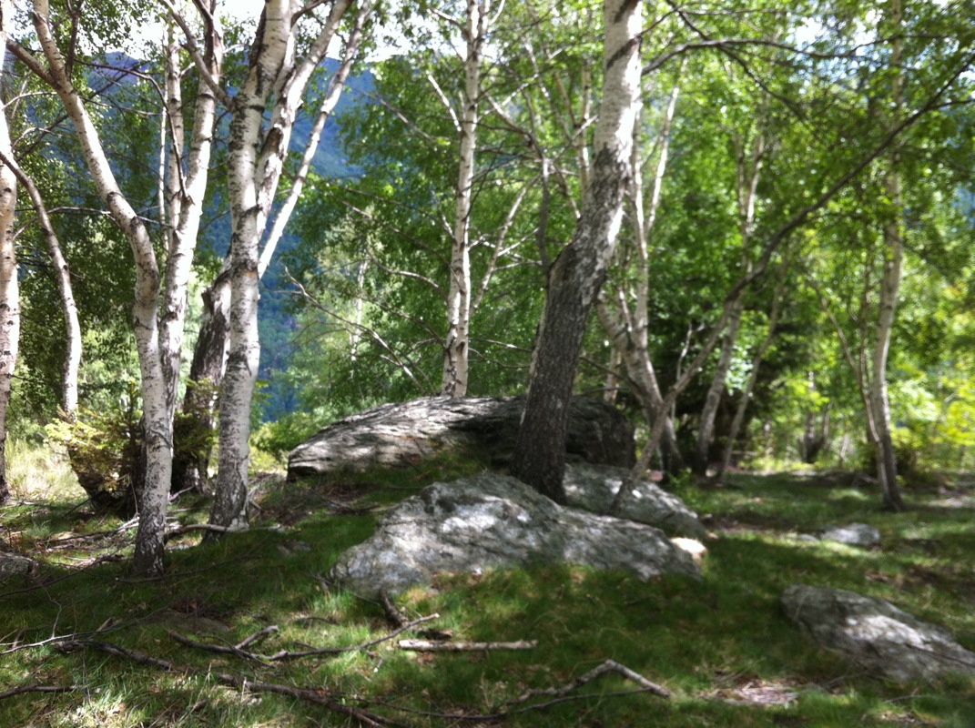 p001.jpg