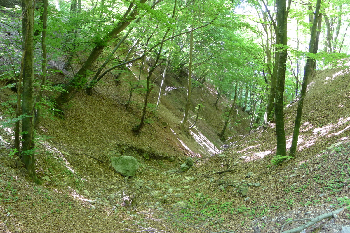 p1080031.jpg