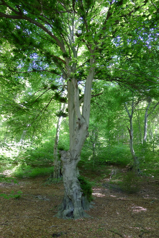 p1080032.jpg