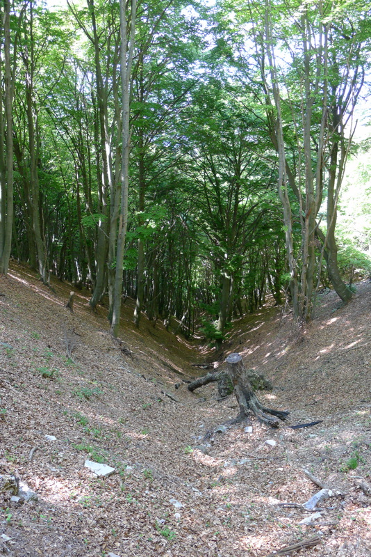 p1080033.jpg