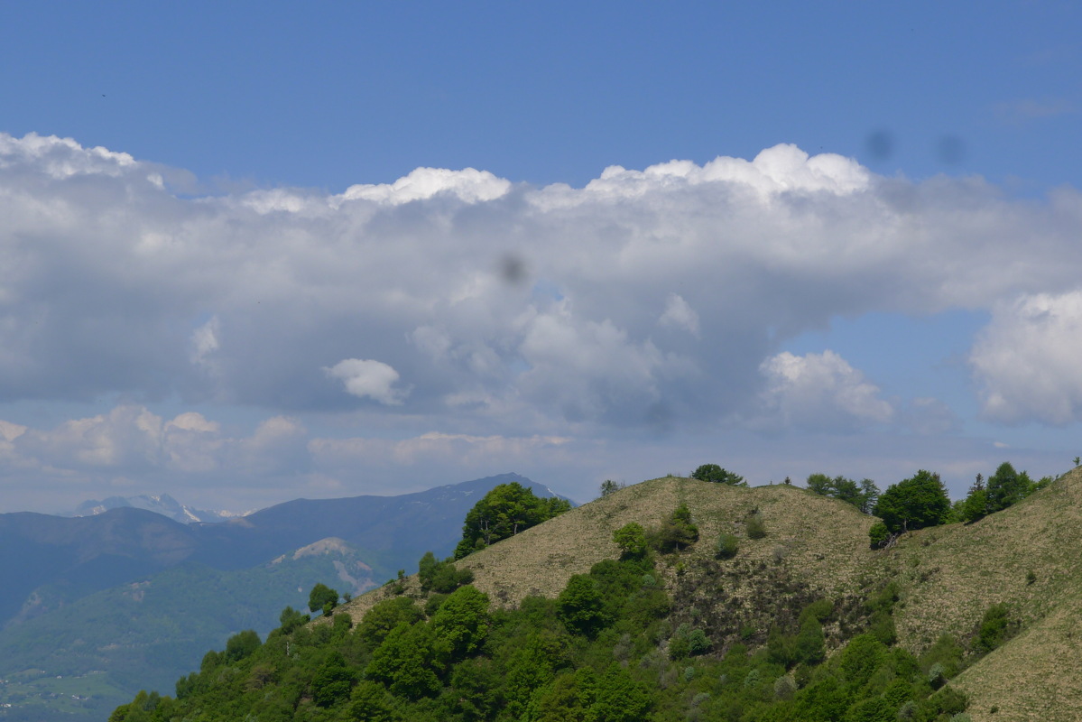 p1080034.jpg