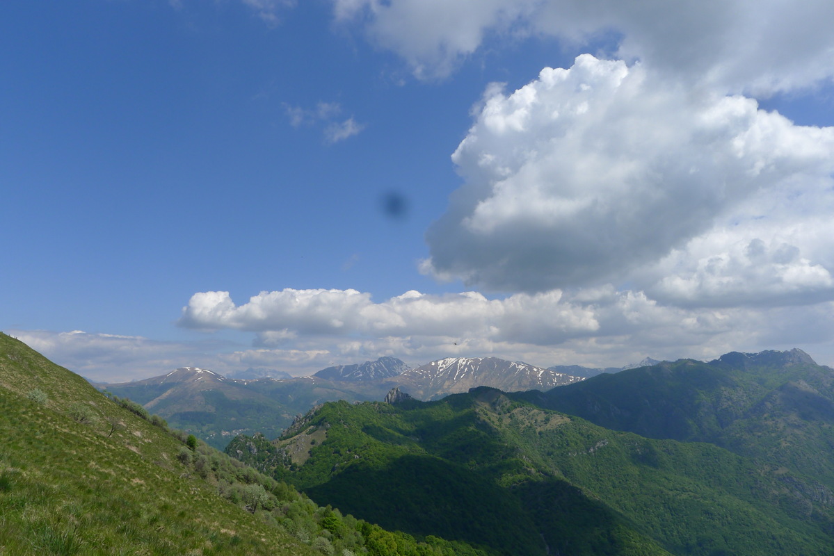p1080036.jpg