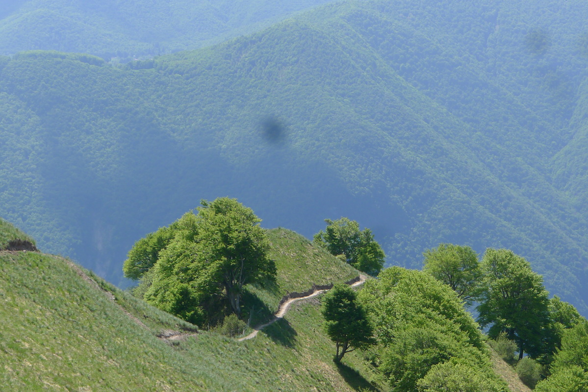 p1080039.jpg