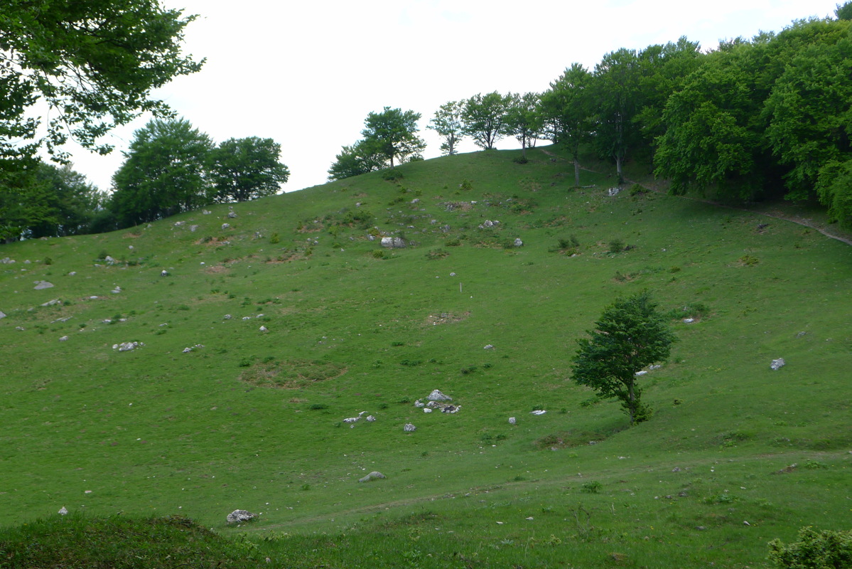 p1080041.jpg