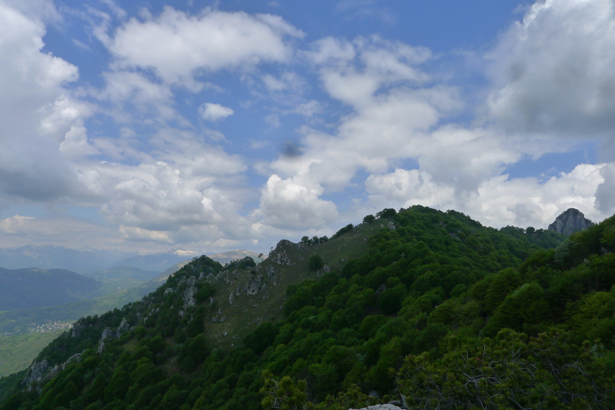 p1080047.jpg