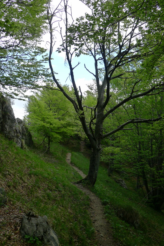 p1080049.jpg