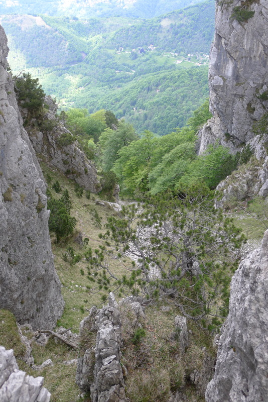 p1080054.jpg