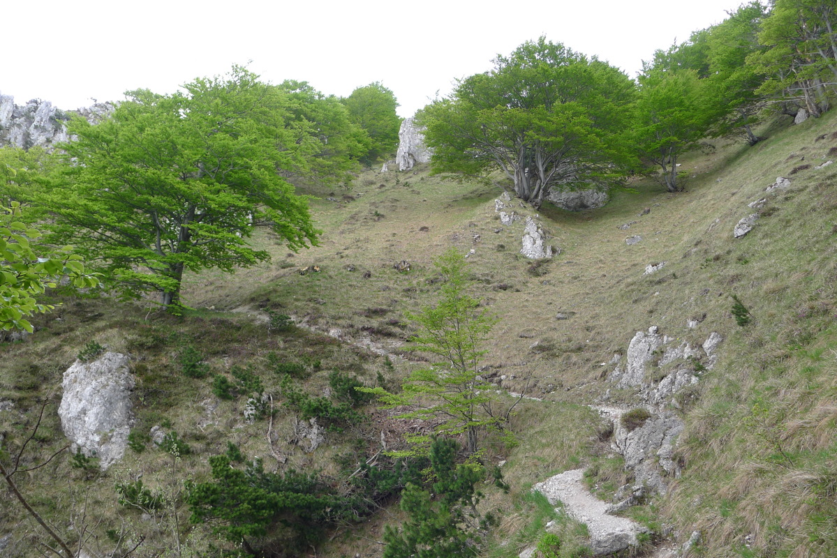 p1080055.jpg