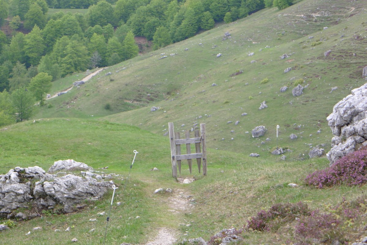 p1080056.jpg