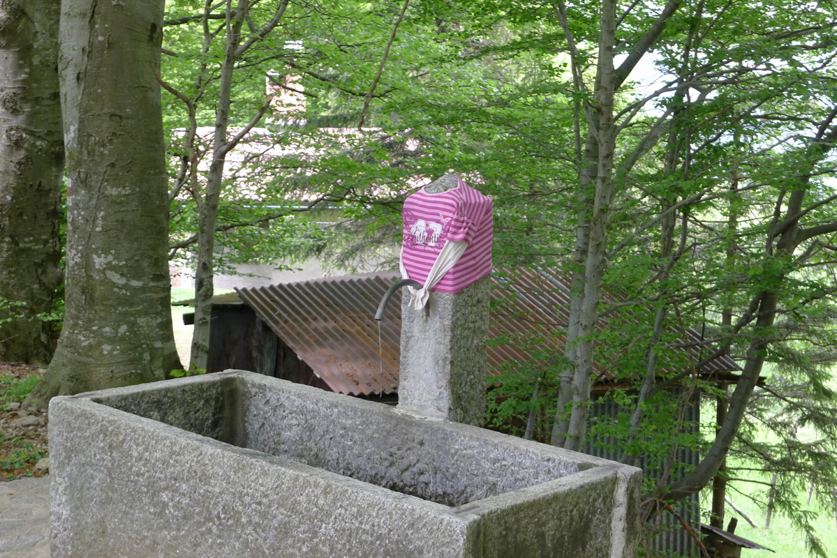 p1080058.jpg
