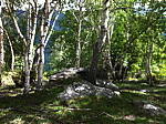 p001.jpg