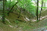 p1080031.jpg