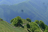 p1080039.jpg