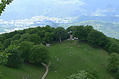 p1080040.jpg