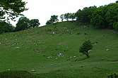 p1080041.jpg