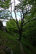 p1080049.jpg