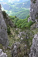 p1080054.jpg