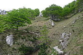 p1080055.jpg