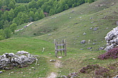 p1080056.jpg