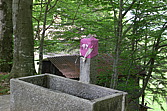 p1080058.jpg