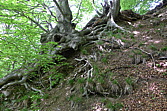p1080059.jpg