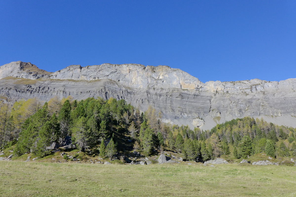 p1010294.jpg