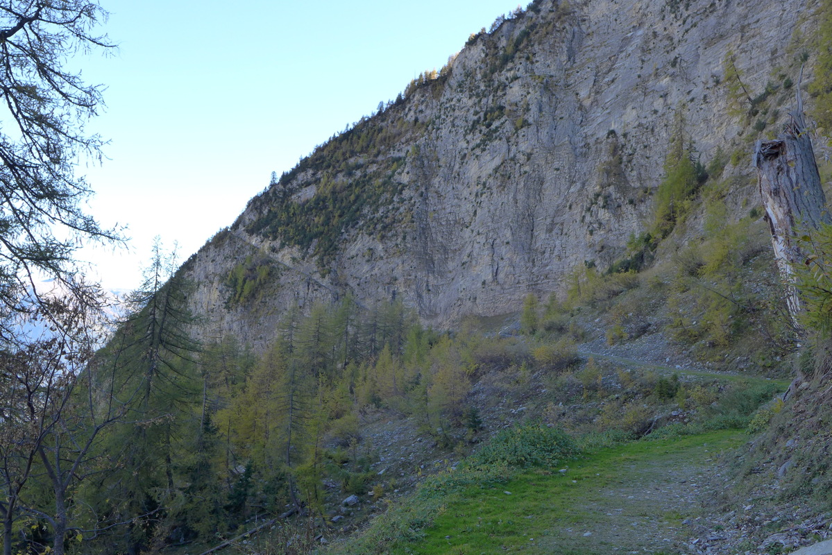 p1010316.jpg
