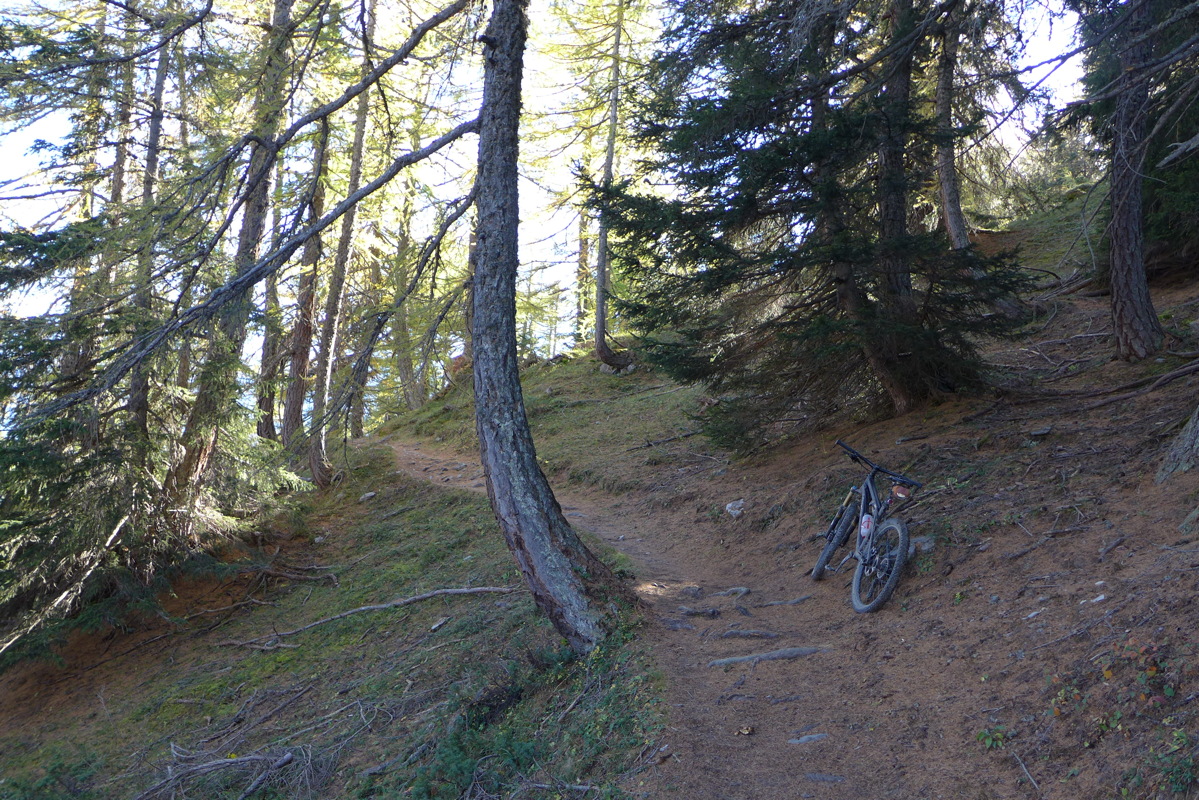 p1010319.jpg