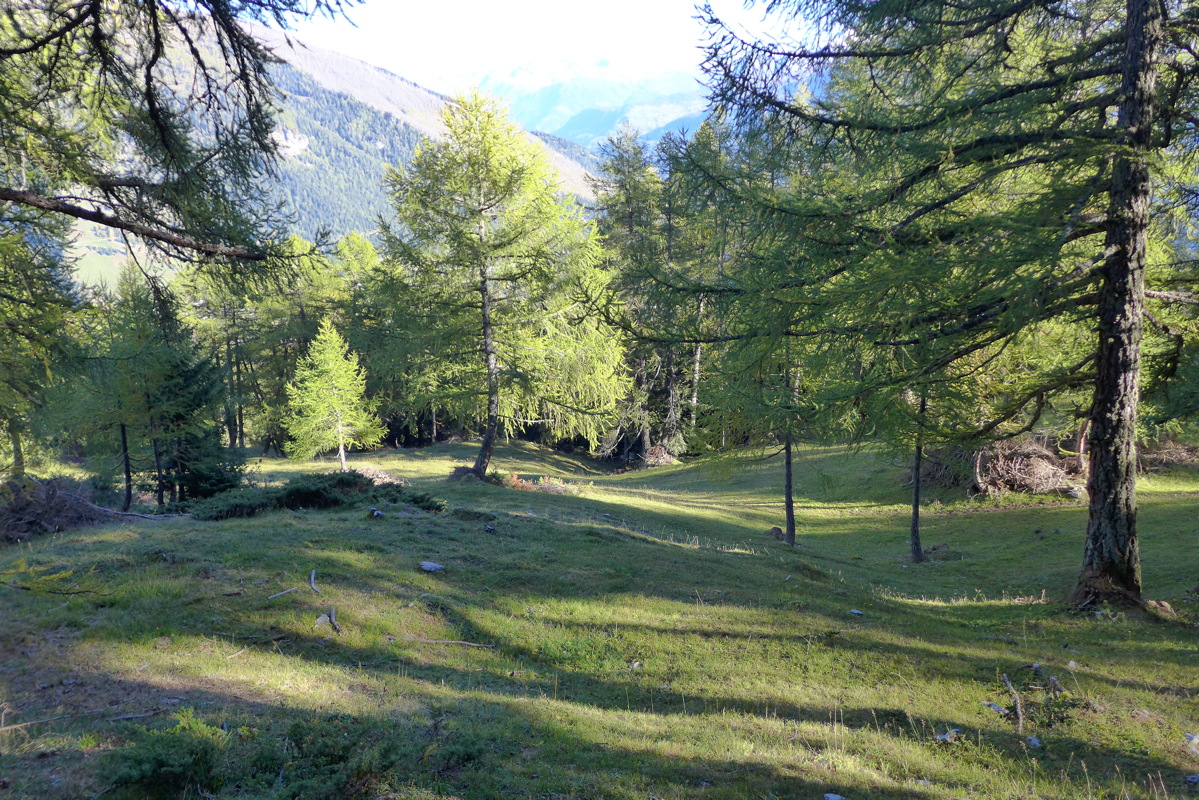 p1010321.jpg